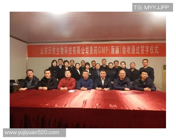 深圳羽毛球队的崛起之路：洲际杯背后的奋斗与荣耀